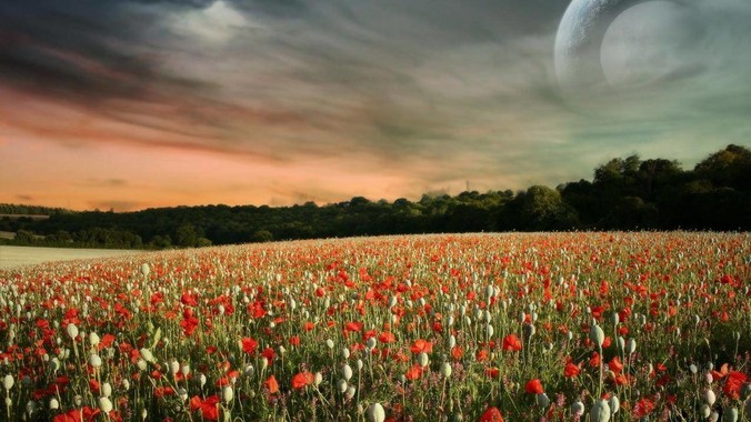 德州率具坡份飞股份公司